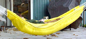hammock