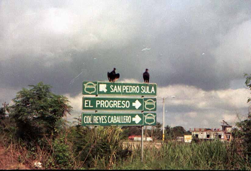 Road Sign